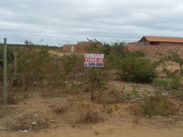 #061 - Terreno para Venda em São João do Paraíso - MG - 1