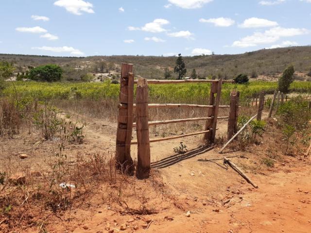 Venda em Zona Rural - São João do Paraíso