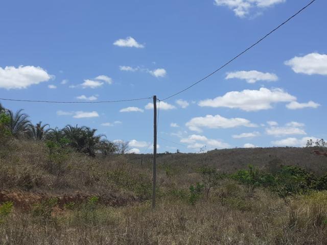 #278 - Chácara para Venda em São João do Paraíso - MG - 3