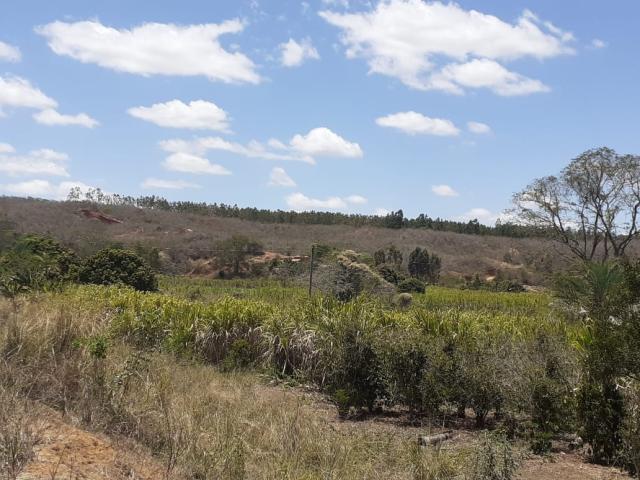 Venda em Zona Rural - São João do Paraíso