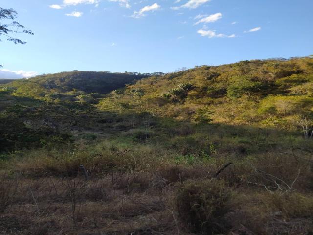 #406 - Fazenda para Venda em São João do Paraíso - MG - 1