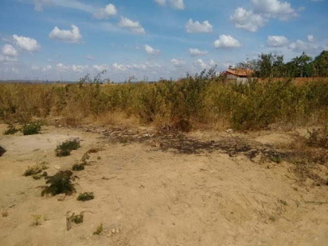 #216 - Terreno para Venda em São João do Paraíso - MG - 3