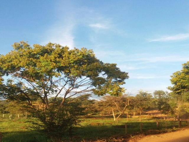 #111 - Sítio para Venda em São João do Paraíso - MG